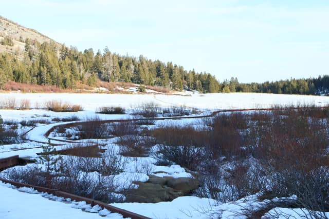 Chickadee Ridge Trail
