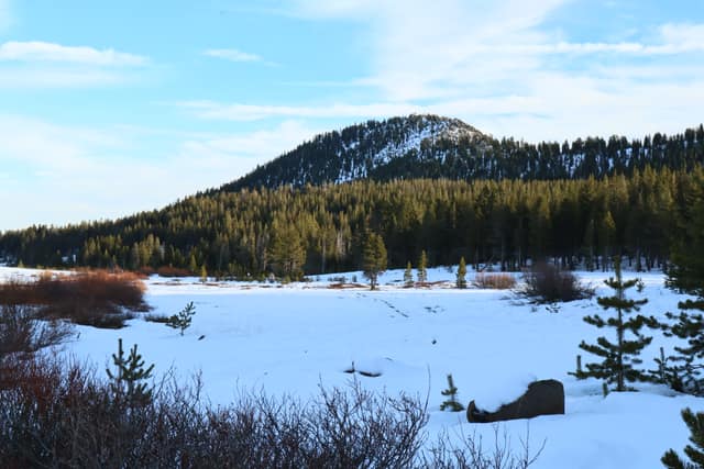 Chickadee Ridge Trail