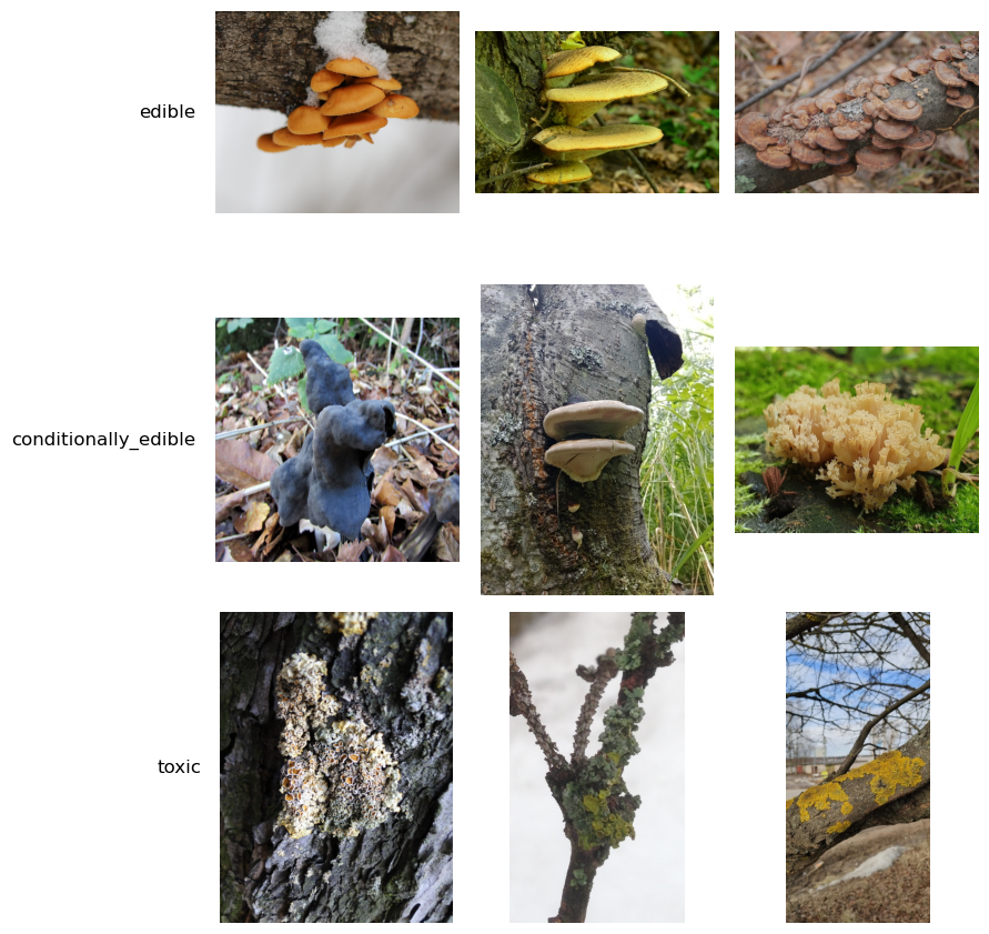 Mushroom classification snapshot